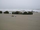 393 moeraki boulders